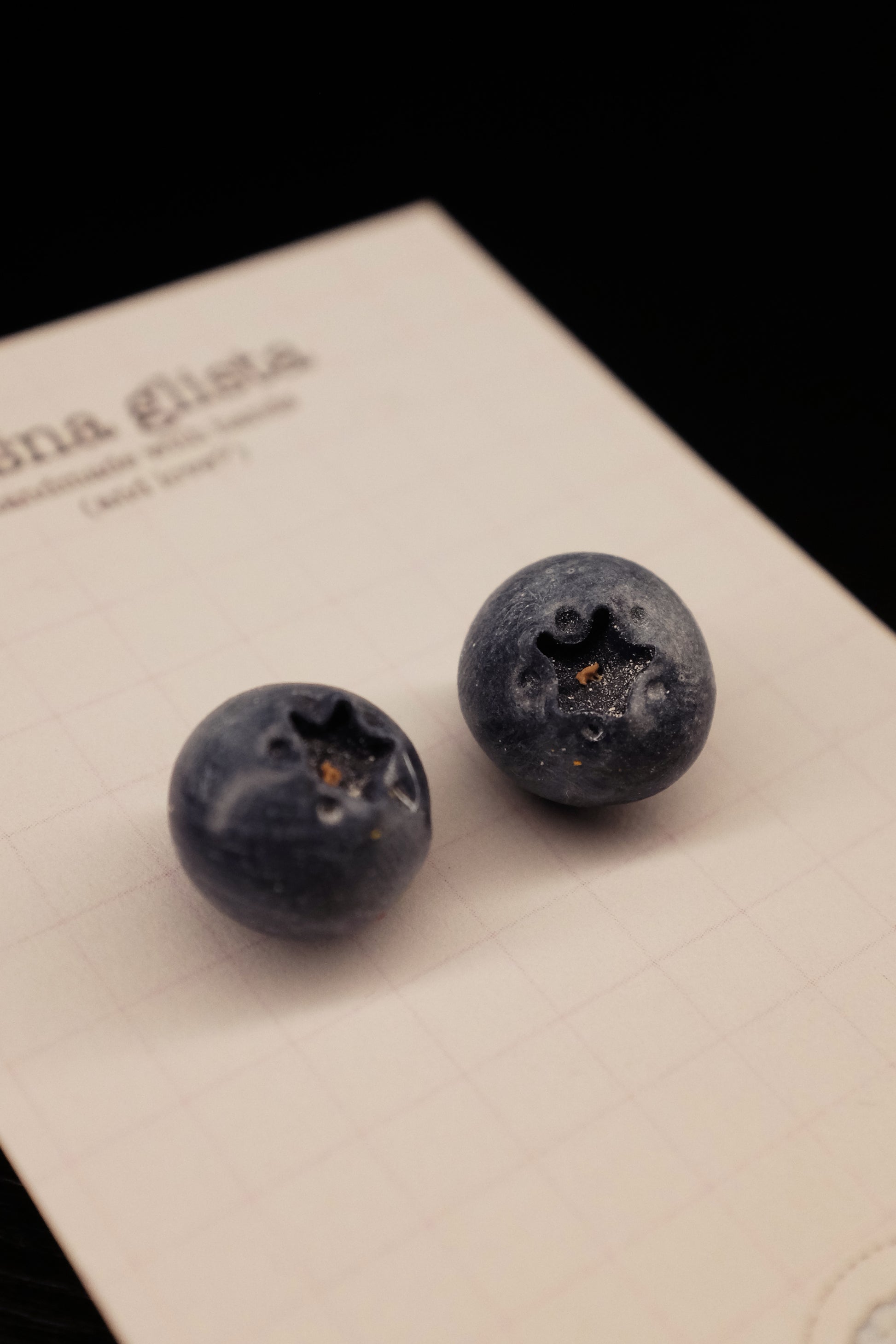 Borovnica, minđuše sa iglicom